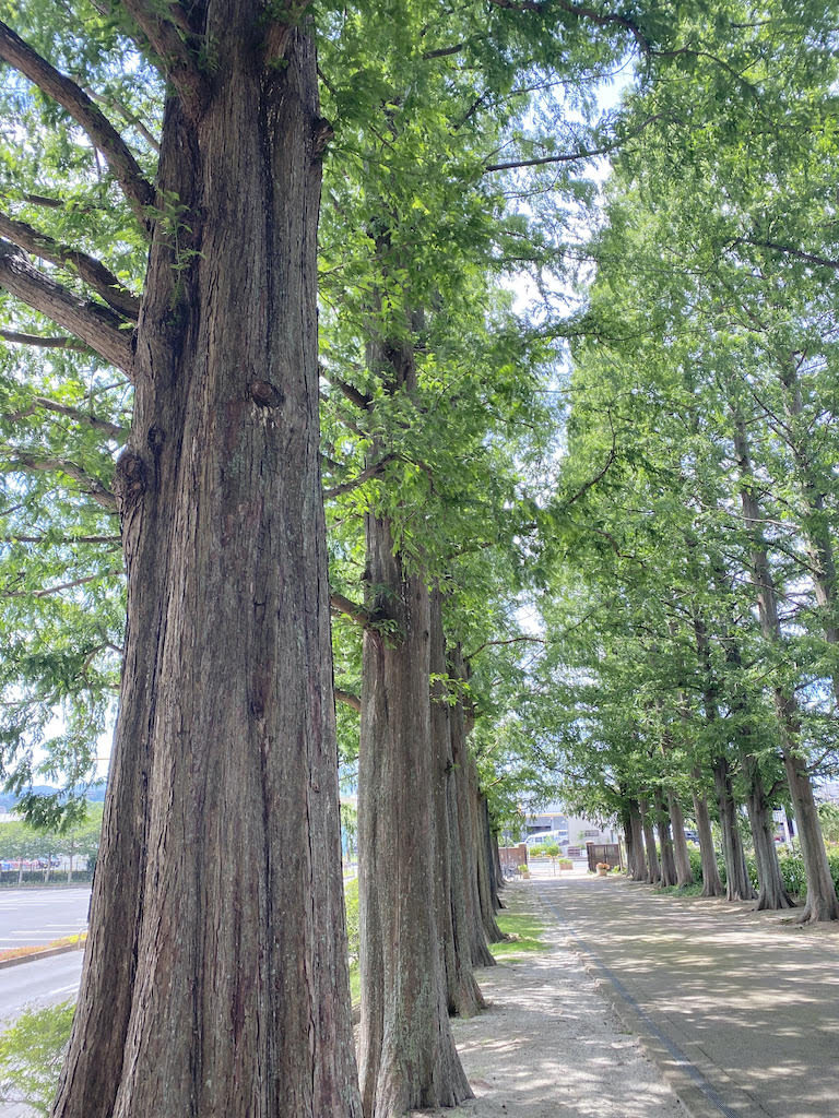 農事センター結婚式、農事センターウエディング、福岡アウトドアウエディング、家族だけの結婚式、ミニマルウエディング、小倉南区結婚式、福岡フリーウエディングプランナー、北九州フリーウエディングプランナー