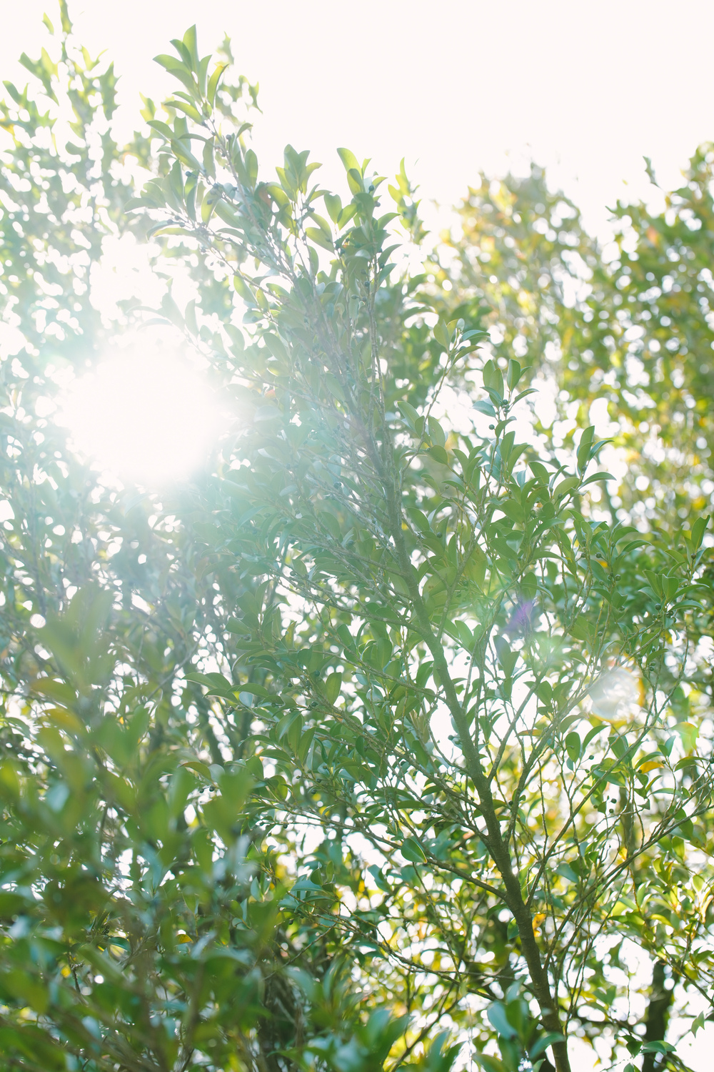 福岡の結婚式の朝