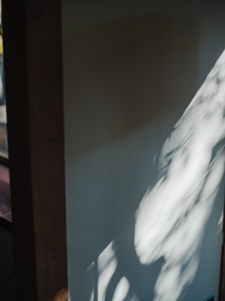 九州のフリープランナーが提案する福岡のレストランウエディング会場に光が差し込む